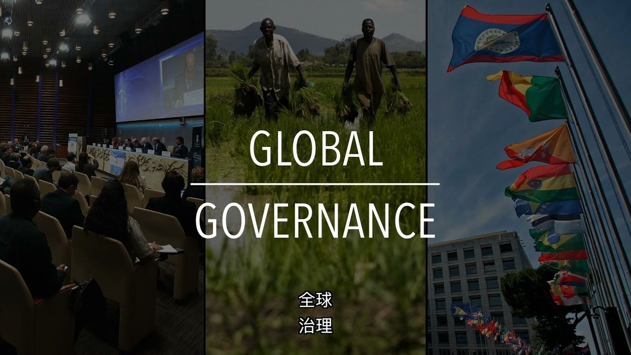 FAO 政策系列: 全球治理（带字幕）