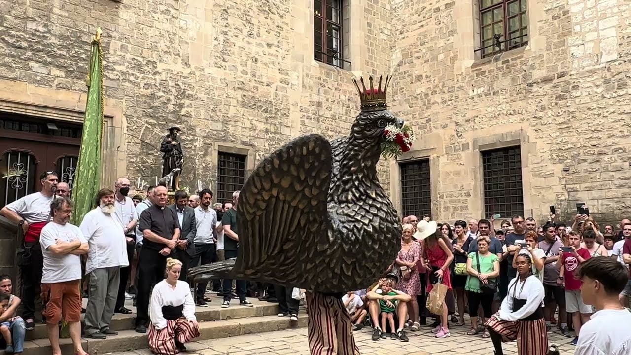 Ball de l'Àliga de la Ciutat de Barcelona I Festes de Sant Roc 2023 HD