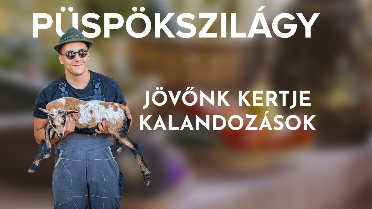 Jövőnk Kertje kalandozások - Püspökszilágy