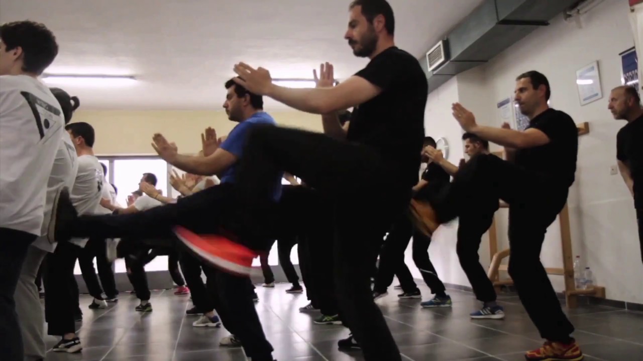 Wing Tzun with Sifu Niko in Greece (Volos) 2017