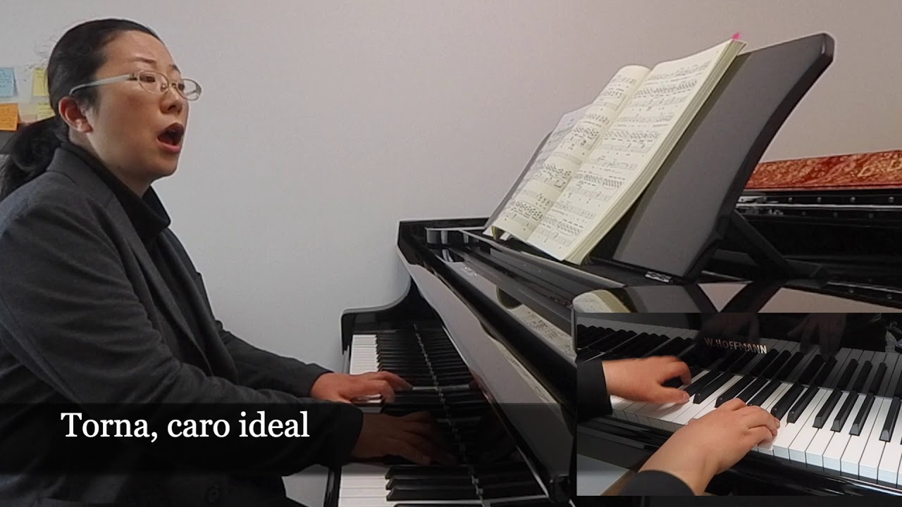 Tosti : Ideale with melody & lyrics