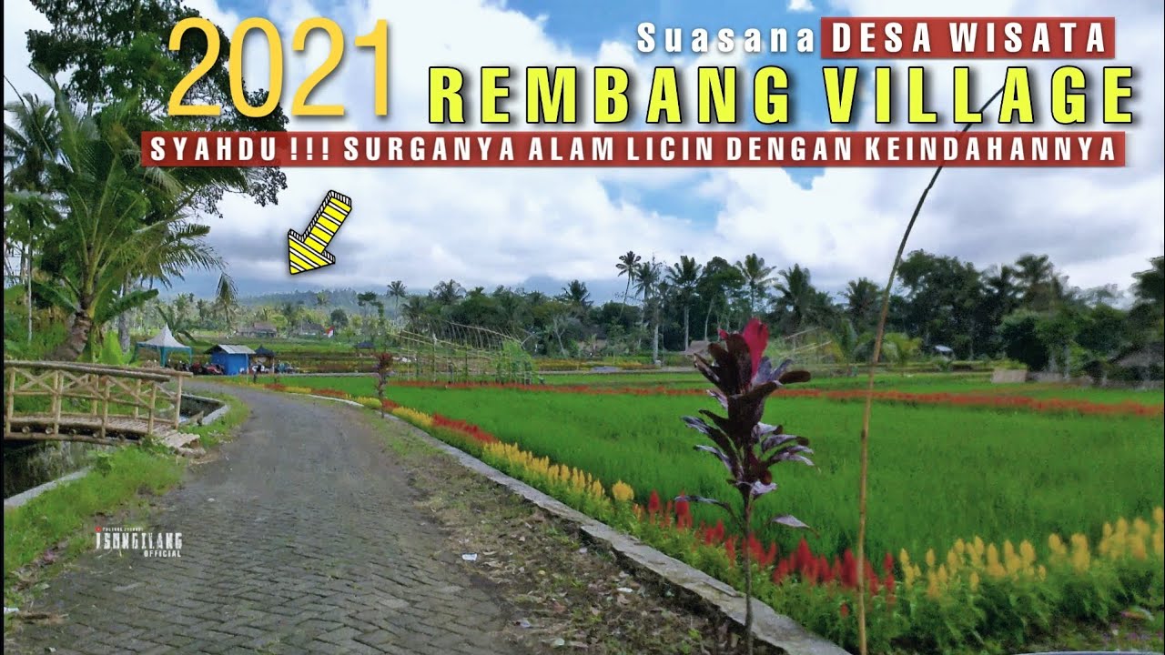 THE BEAUTIFUL VILLAGE OF BANJAR REMBANG BANYUWANGI | BANYUWANGI TOURISM VILLAGE