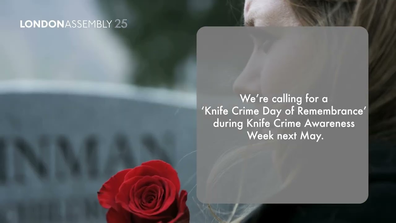 Motion 6 - Knife Crime Remembrance Day