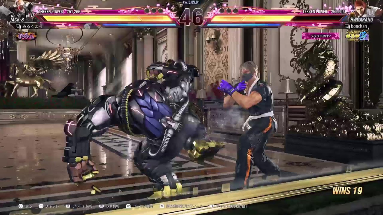 鉄拳＆モンハン＆スト6　アキ木人拳の配信