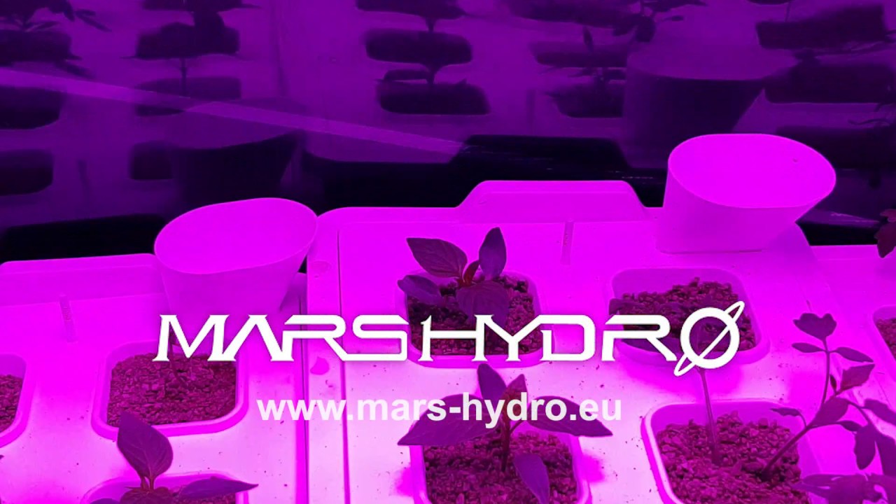 Mars Hydro SP 250 Grow Light