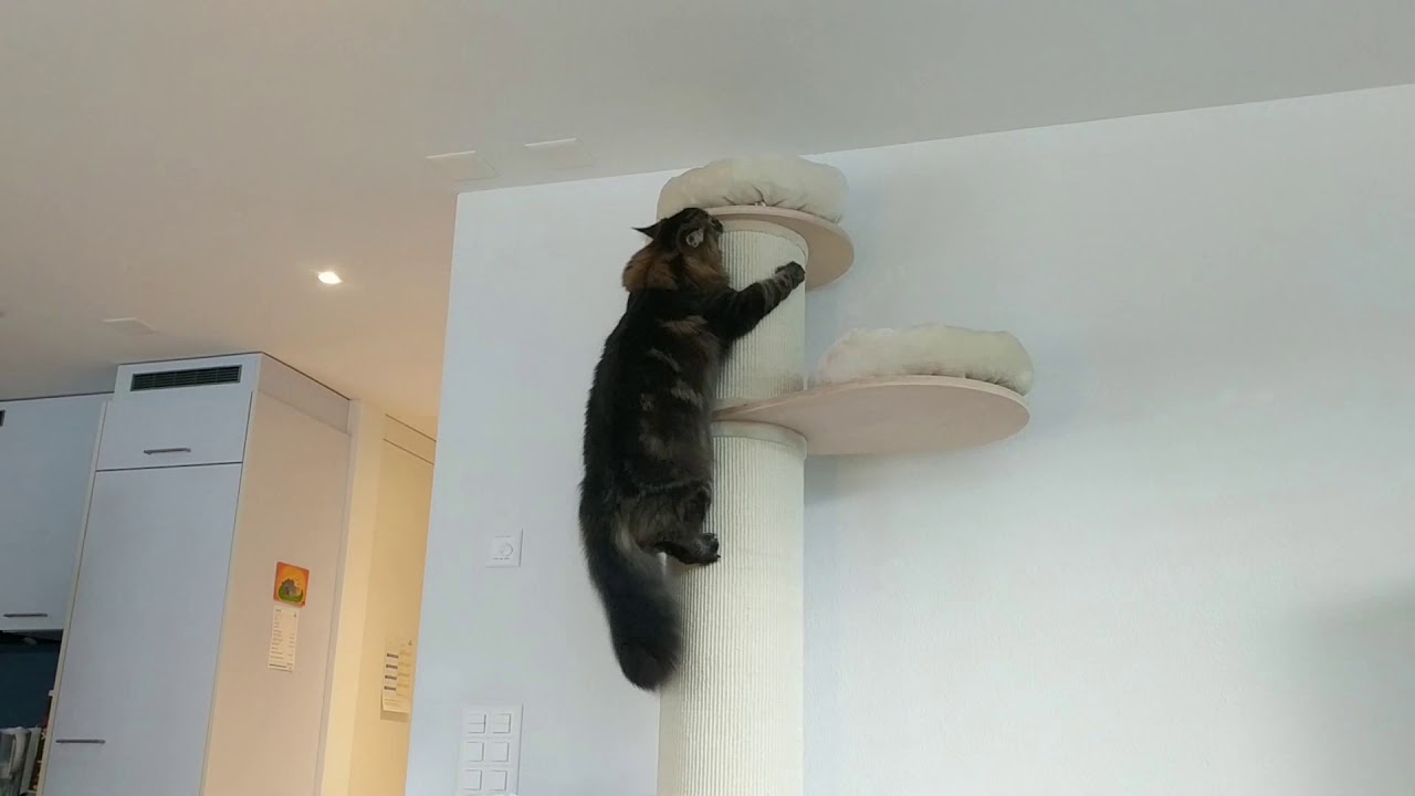 Natural Paradise Scratching Post XXL -  Kratzsäule
