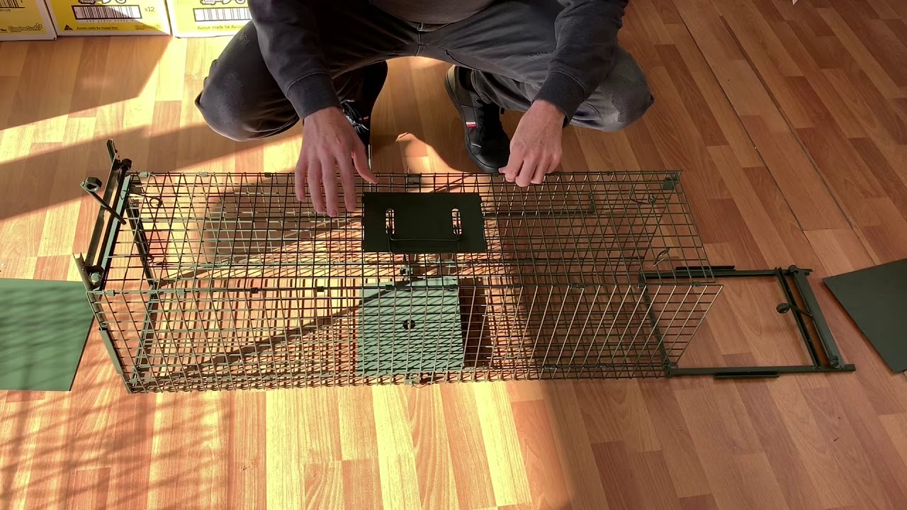 Pestrol Extra Large Animal Trap - How to set up you humane trap
