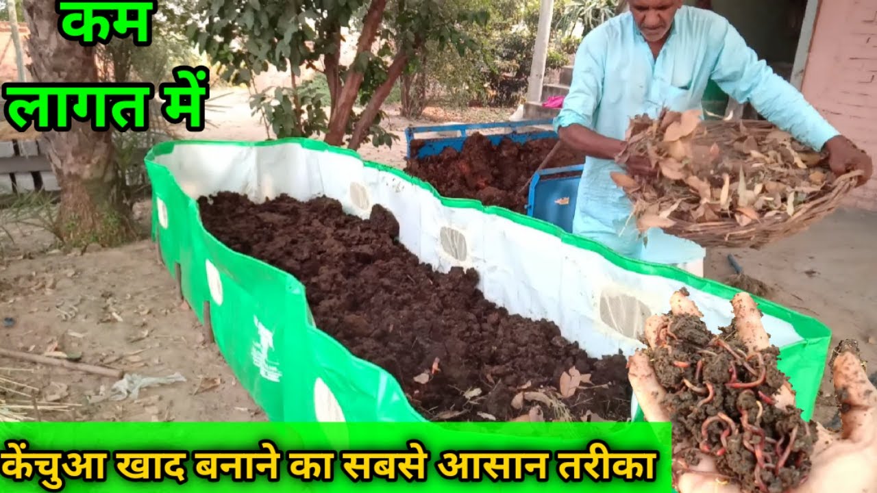 How to Prepare Vermi Compost using Vermi Bed in Hindi|केंचुआ खाद बनाने का आसान तरीका |By Kisan Mitra