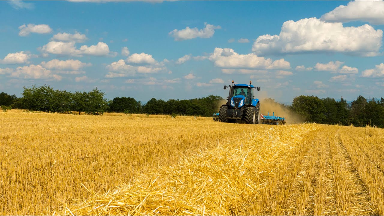 New Holland T8.330 + Lemken Rubin 9 | Podmítka 2019
