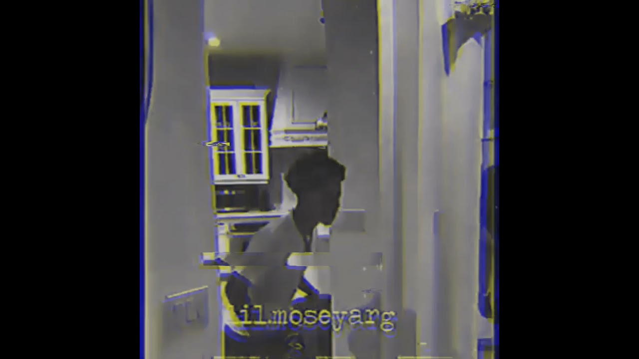 THEjader-purpp (yakuzarecords)