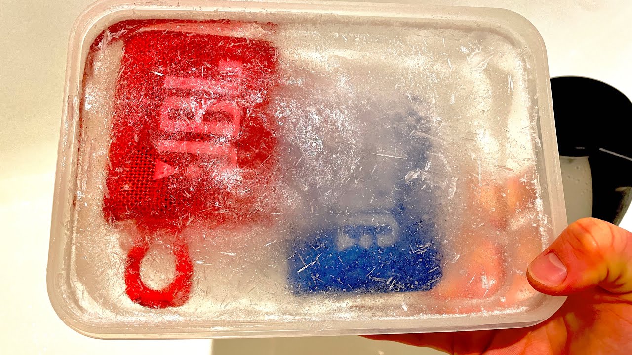 JBL GO 3 vs GO 2 Durability Freeze Test! - 24 Hrs Frozen In A Freezer!