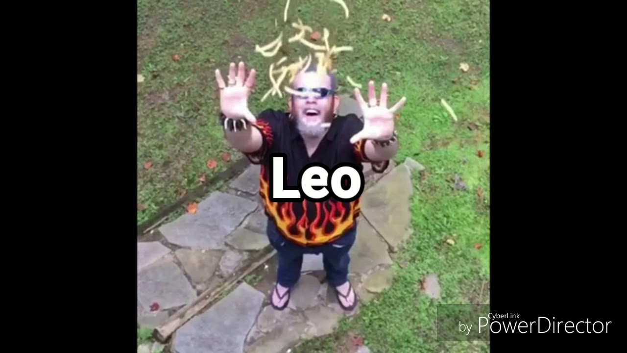 Zodiac Signs As Vines #3