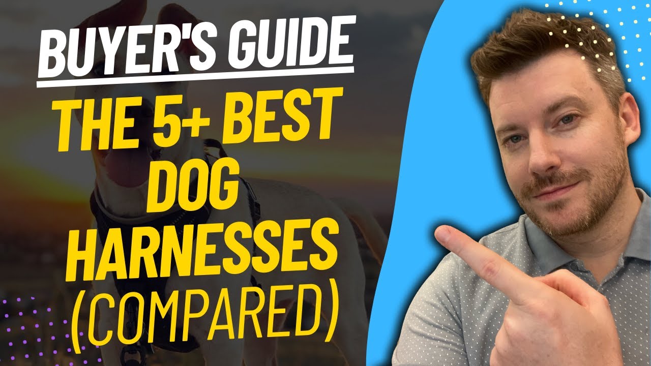 TOP 5 BEST DOG HARNESSES - Best Dog Harness Review (2023)