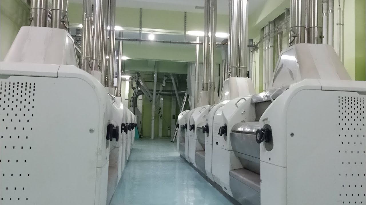 Mddp buhler new plant maida mill