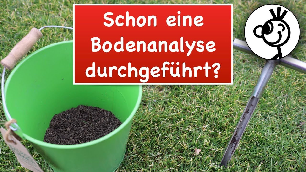 BODENANALYSE für perfekten RASEN - so geht's