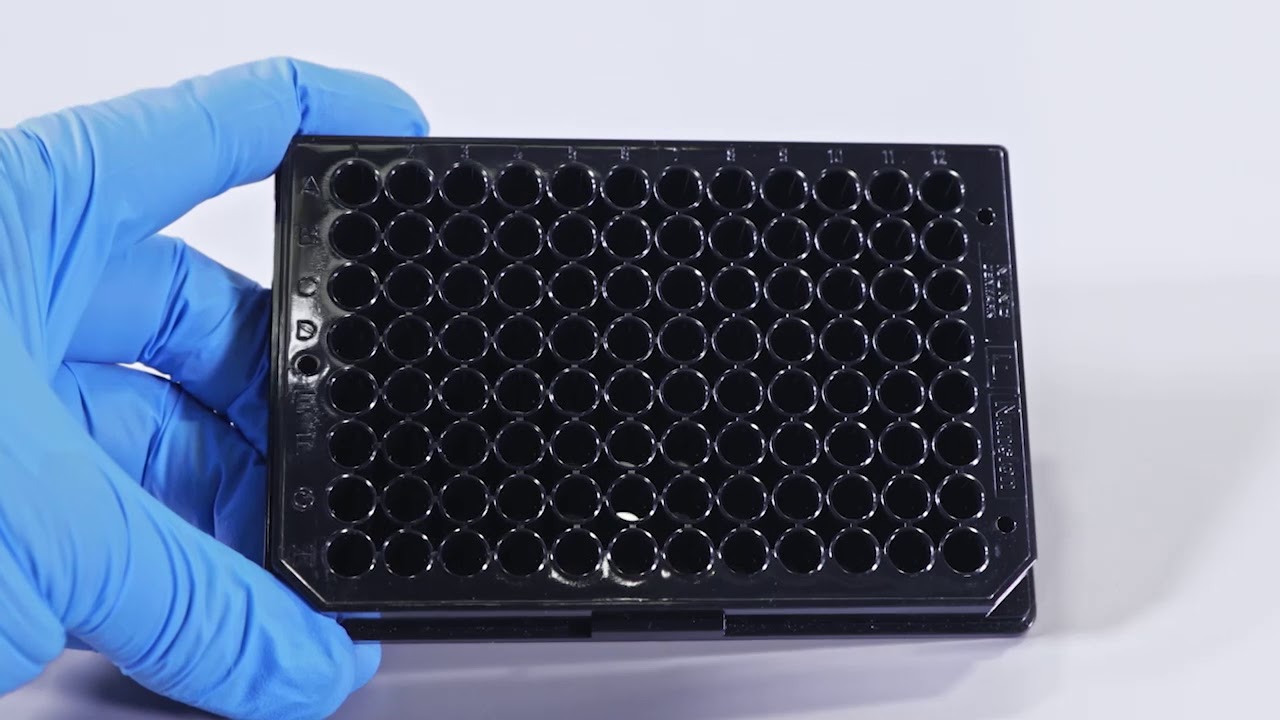 Endotoxin Detection Assays & Services