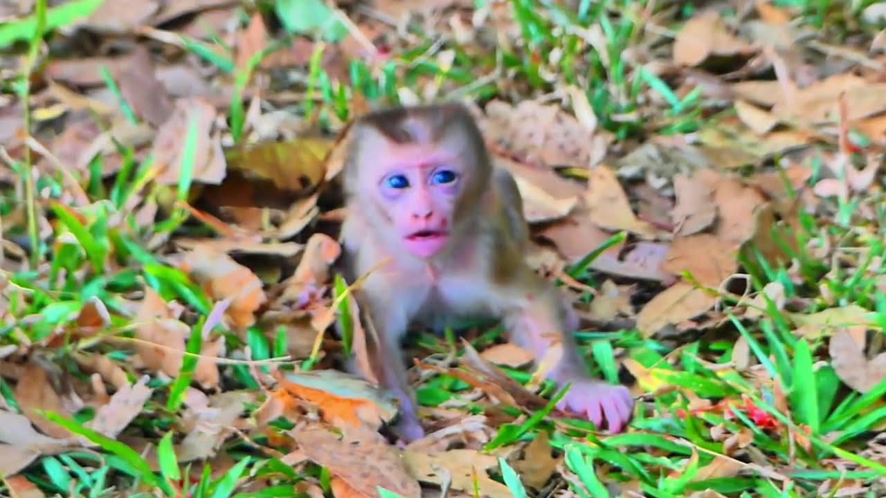 My Video 3