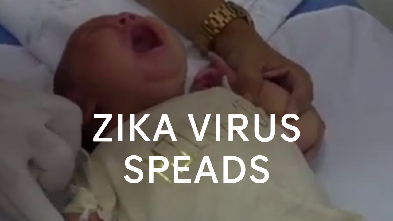 Zika virus spreads throughout the Americas