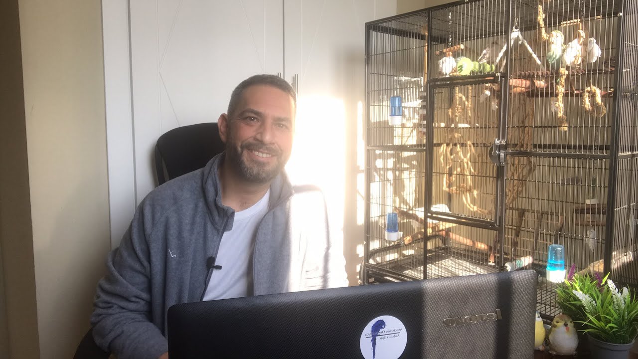 Directo 2022 Cómo están vuestras aves