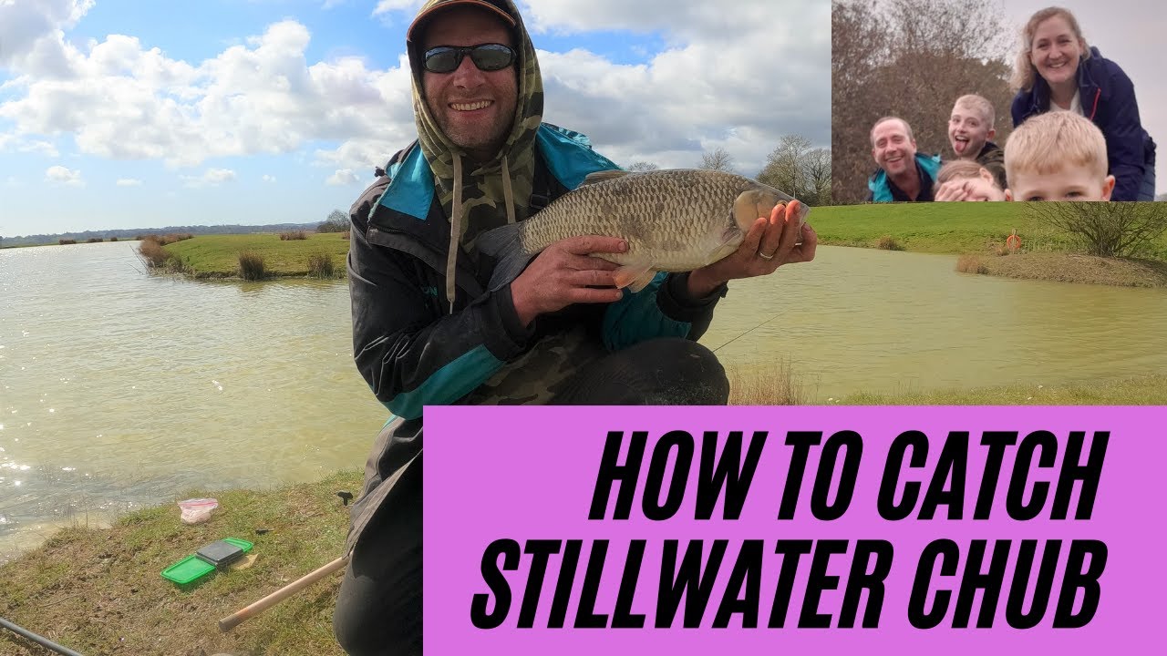 How to catch stillwater chub