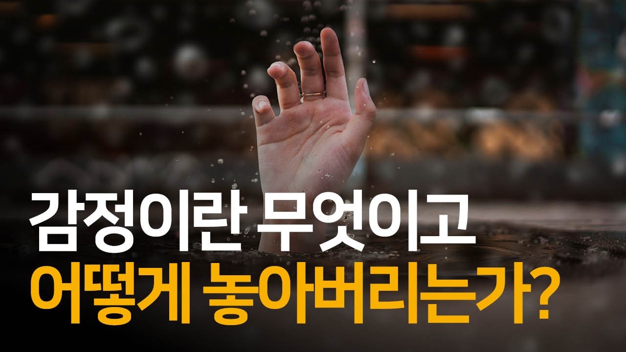 감정이란 무엇이고, 놓아버림은 어떻게 하는가? | 사소한 것을 놓아주기 : 에크하르트 톨레 에디션