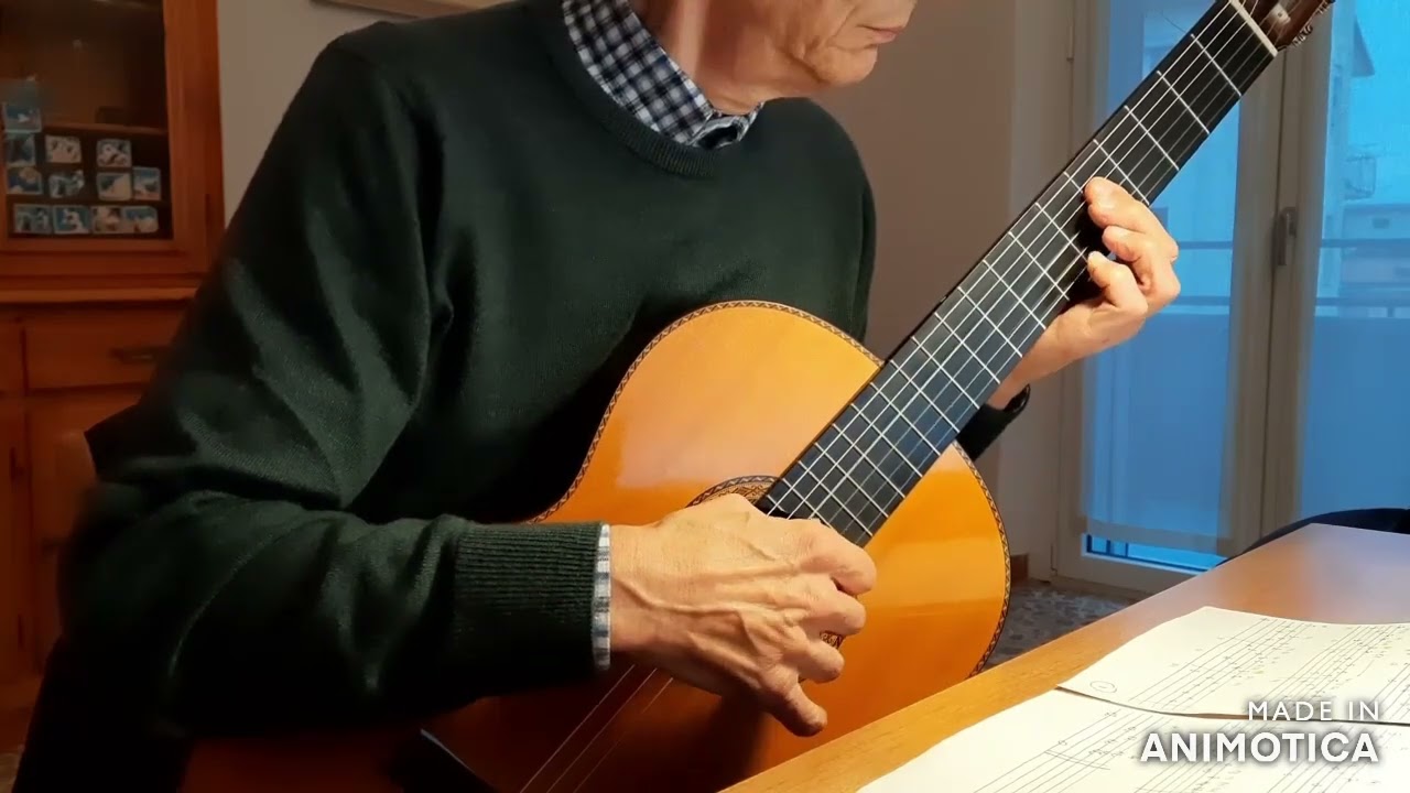 Johannes Brahms - Hungarian Dance (arrangement for solo guitar)