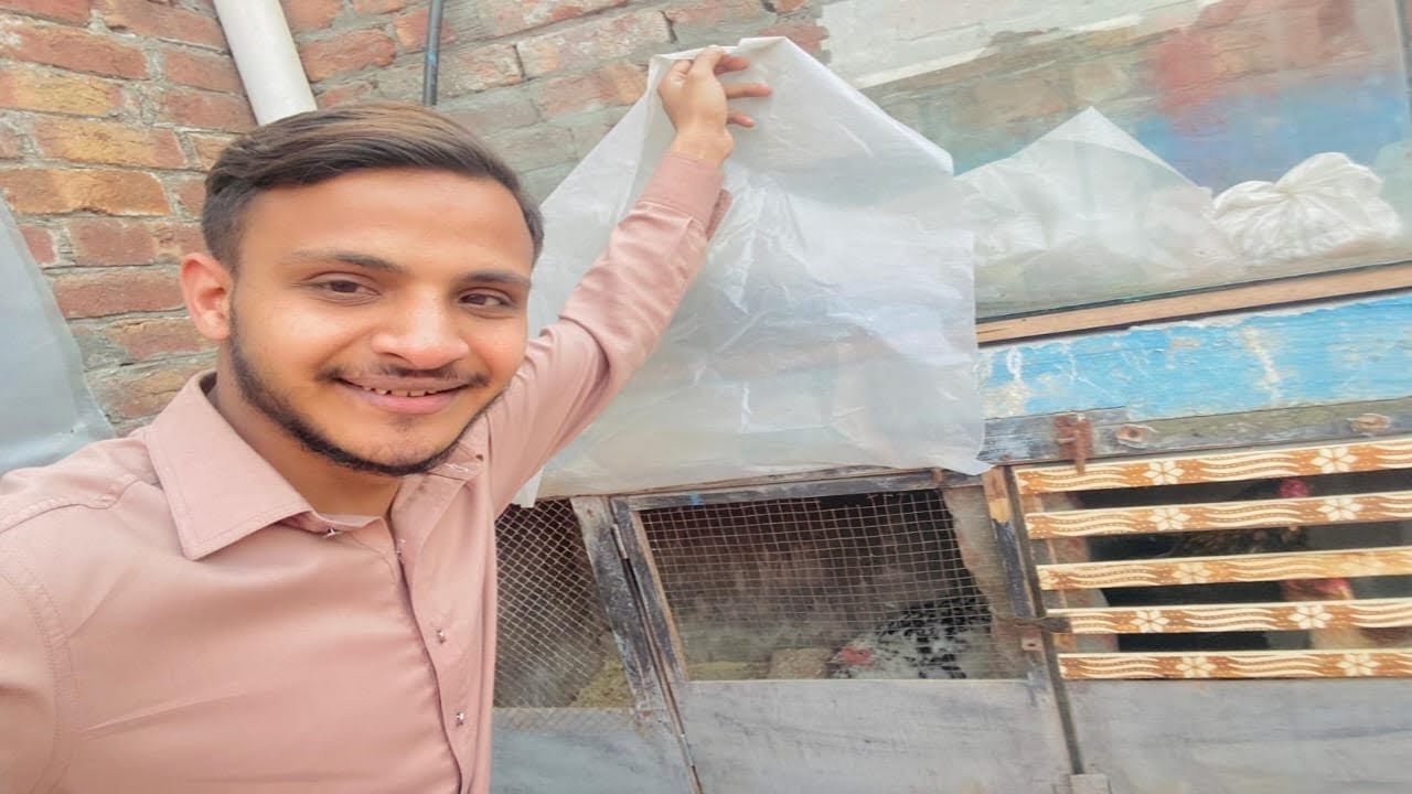 Murgee Ande Par Bitha Dee Hai🥰