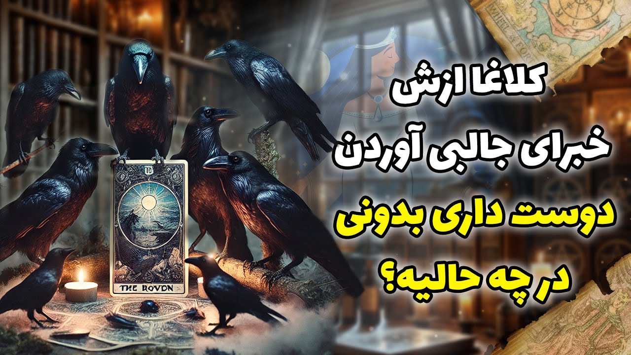 فال شراره - کلاغا ازش خبرای جالبی آوردن دوست داری بدونی در چه حالیه؟