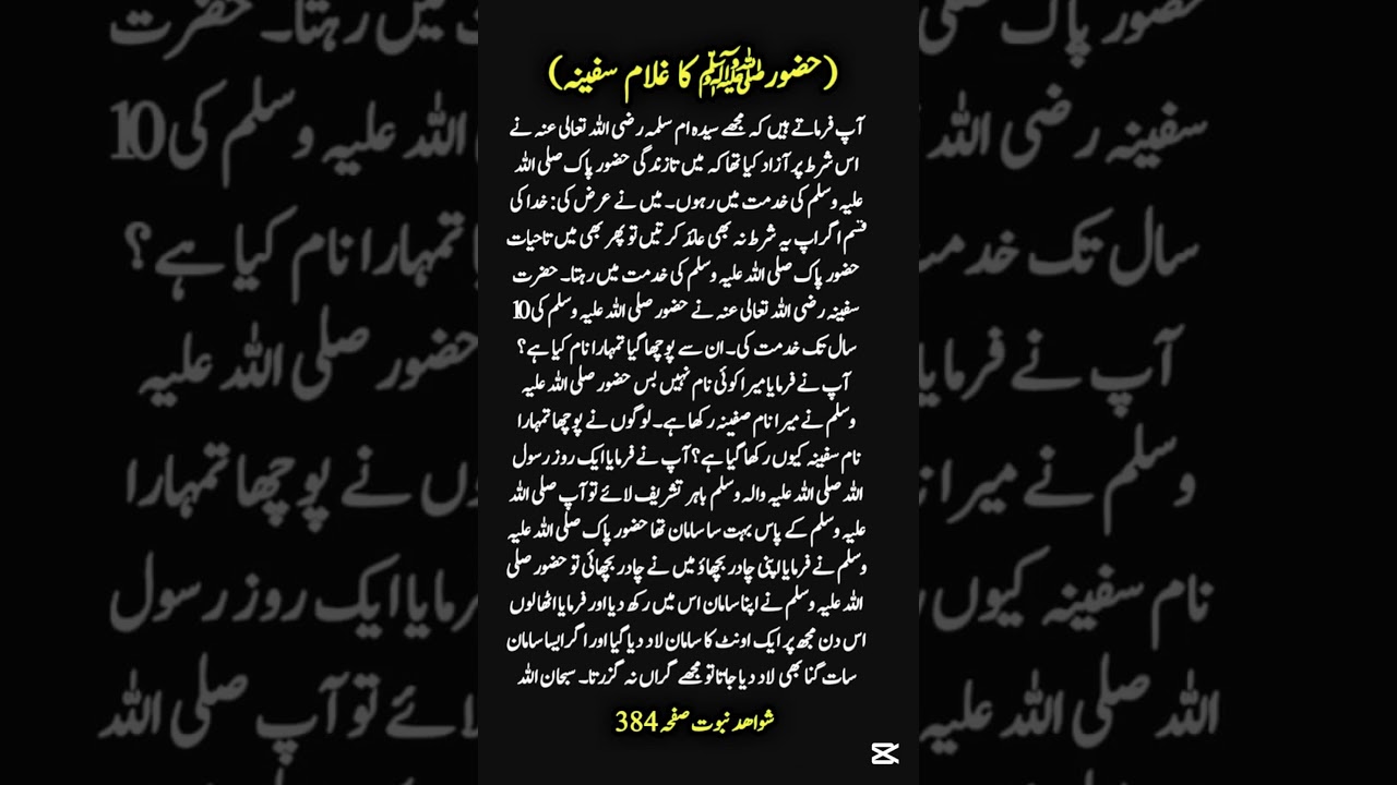 Hazoorﷺ ka Ghulam safina|best islamic history books in urdu