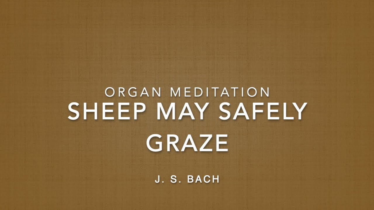 Sheep May Safely Graze (Organ)