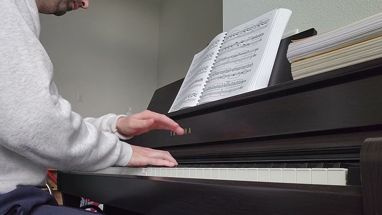 Debussy, Doctor Gradus ad Parnassum, Le Coin des Enfants, Day 2