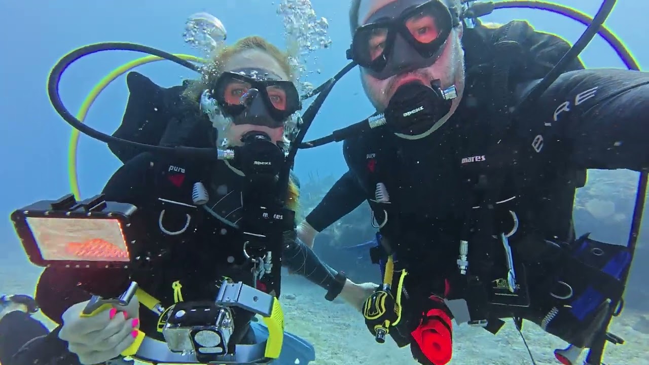 French Reef-Key Largo, FL