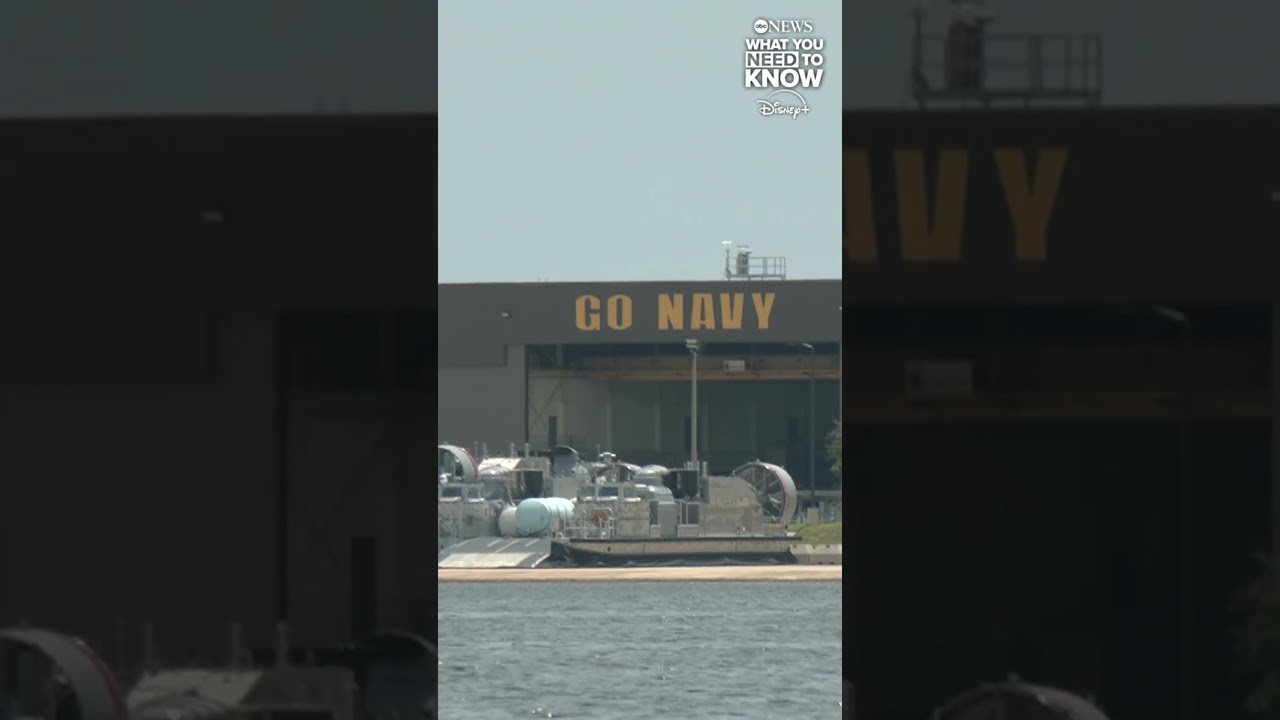 Сотрудник военно-морской базы во Флориде подвергся нападению акулы.