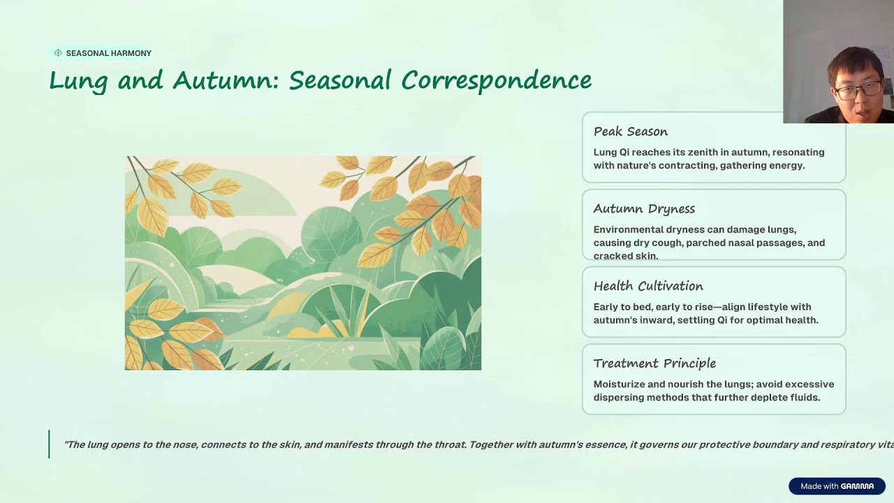 Understanding the Lung in Traditional Chinese Medicine (Part 2)
