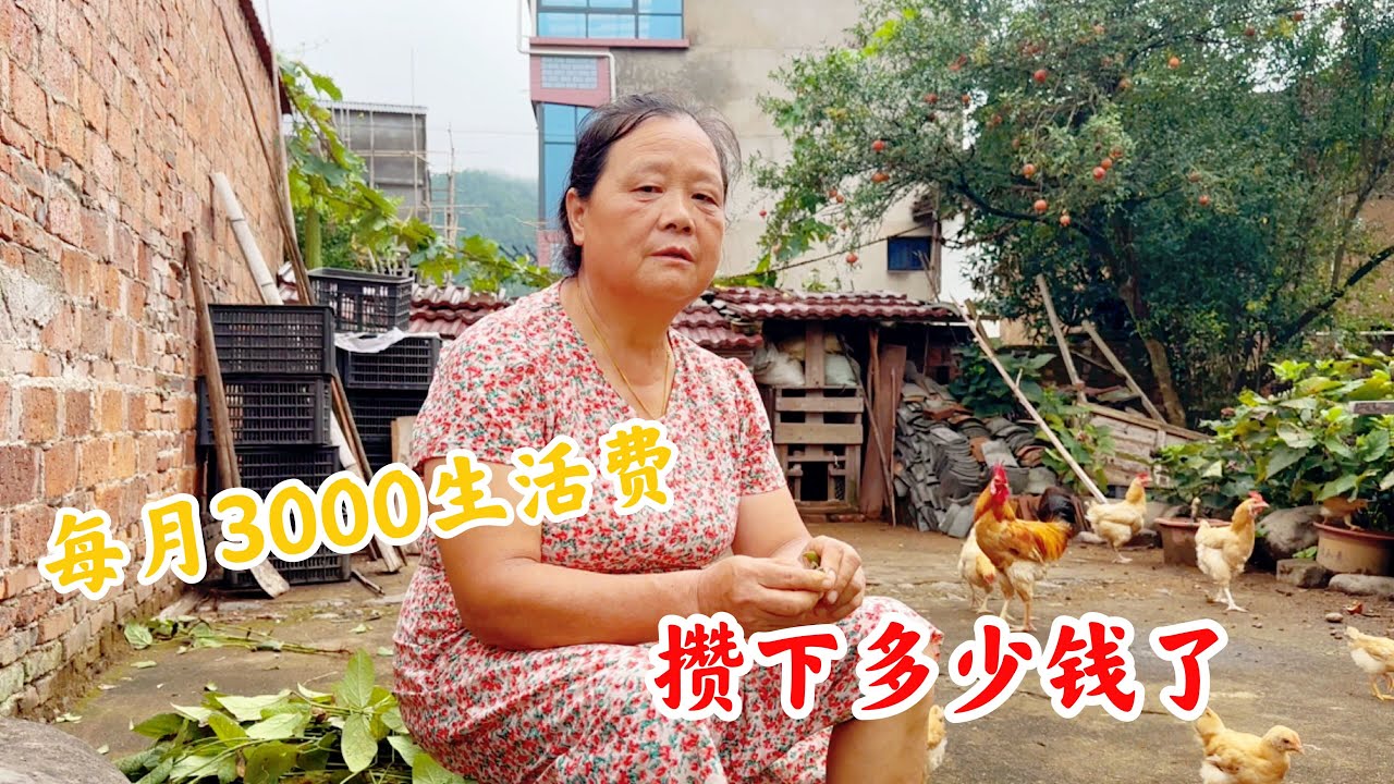 农村婆婆每月有3000元生活费，一共攒下了多少钱？听完不敢相信