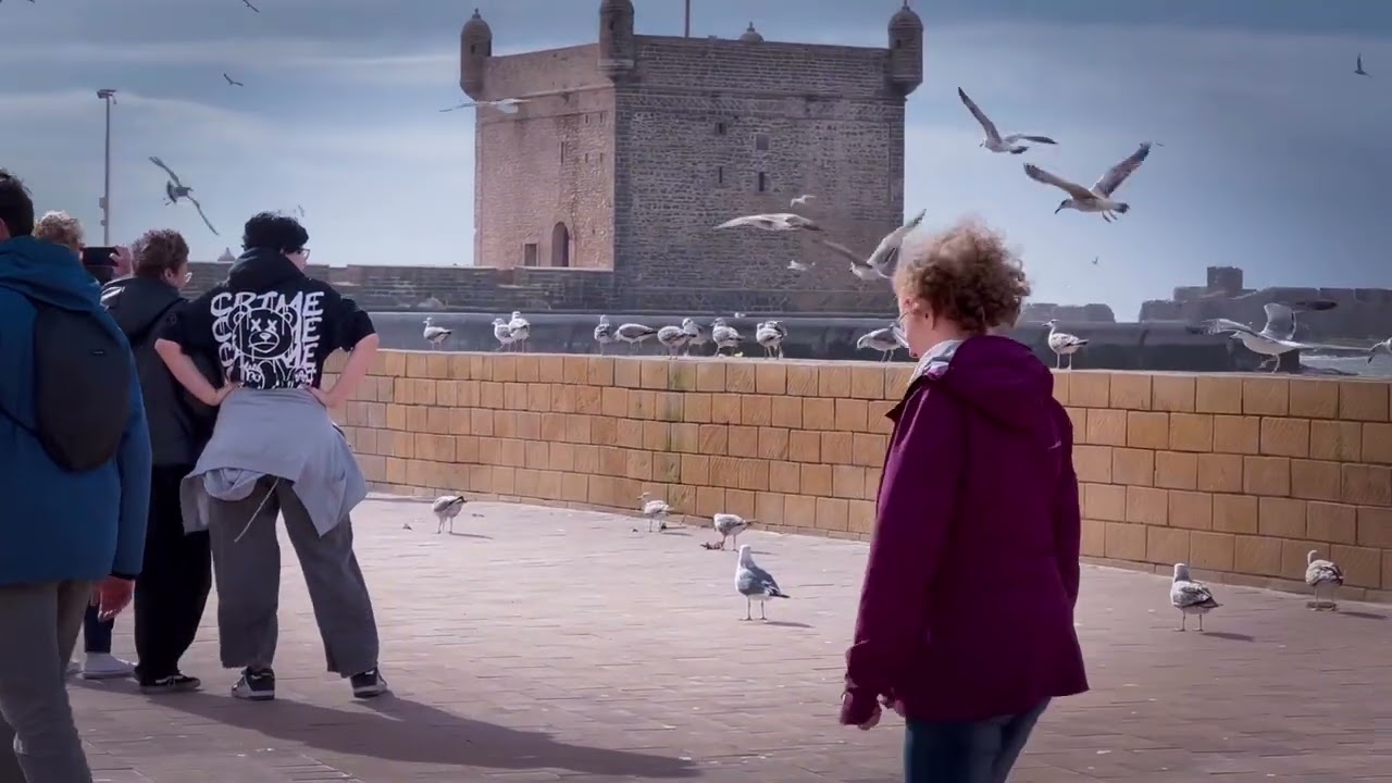 Essaouira City, Morocco #Essaouira #morocco  #visitmorocco  #travelmorocco  #exploremorocco 