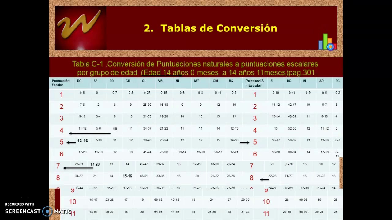 Revisión de Instrumento WISC IV