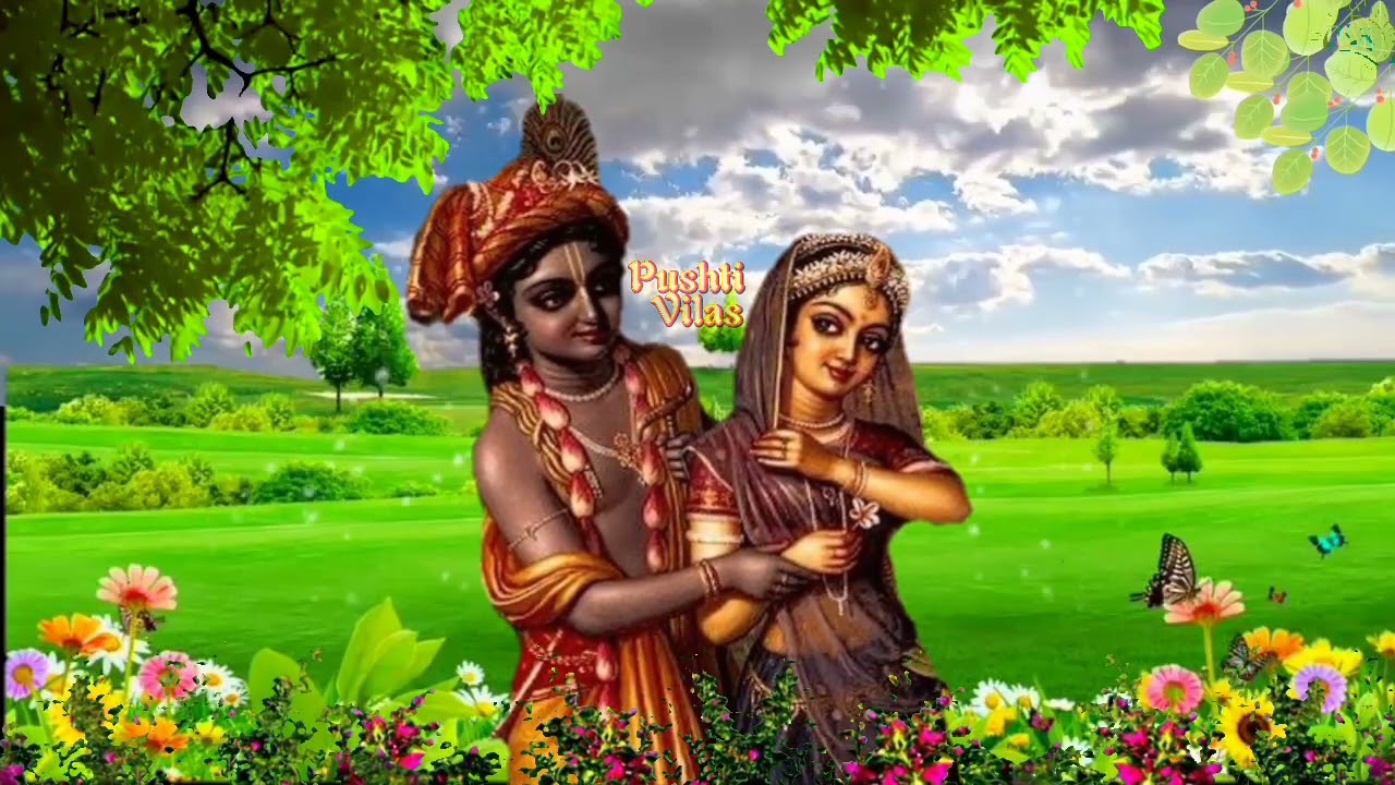 shyama jhulan padharo jhuk aaye badra | श्यामा झूलन पधारो झुक आये बदरा