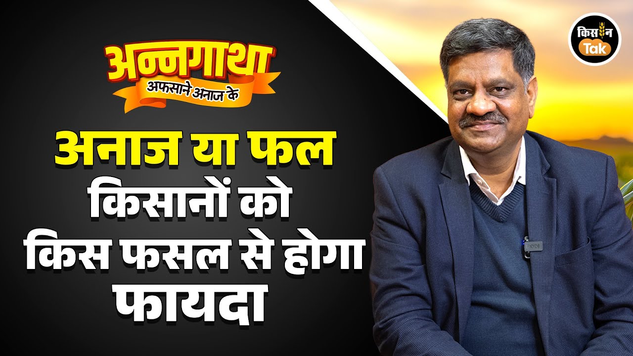 Fruit Farming Benefits: फलों की खेती से कैसे अमीर बनेंगे क‍िसान, कृष‍ि वैज्ञान‍िक ने बताया प्लान