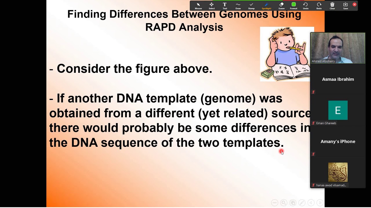 التشابه والأختلاف بين تكنيكات  ISSR و RAPD و Triple-RAPD