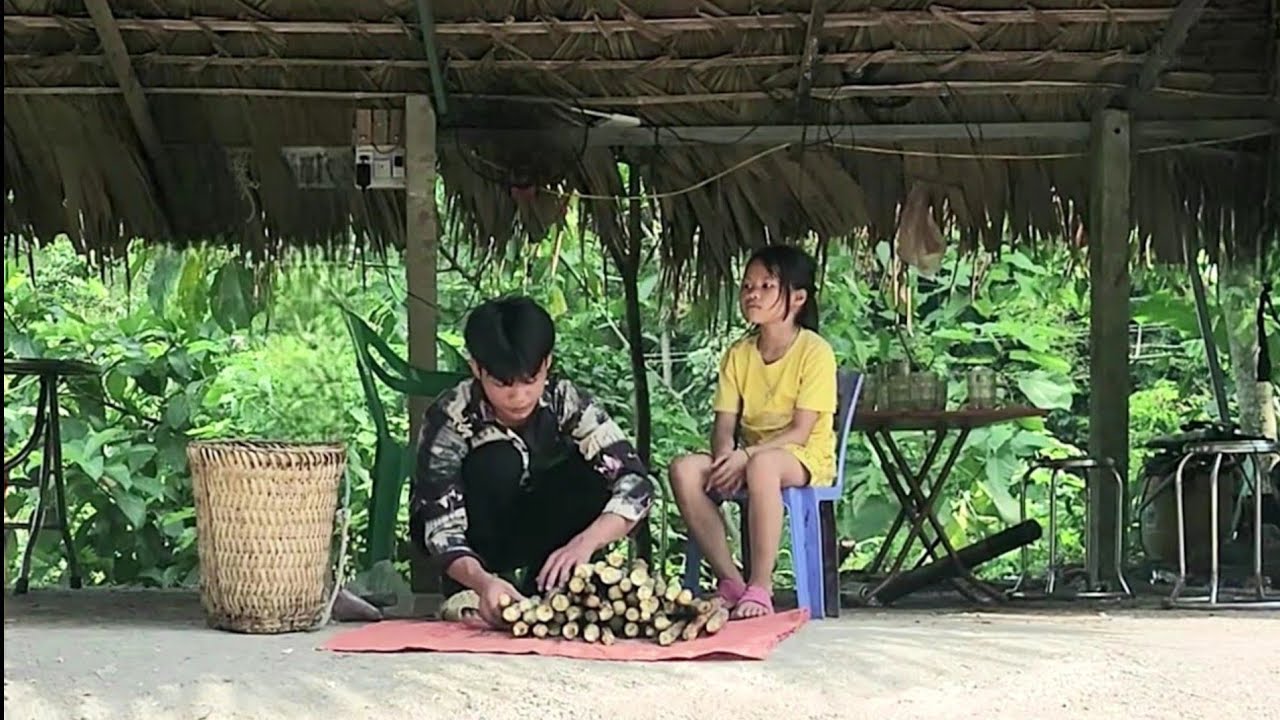 Poor boys and girls pick beards, sugarcane, and berries to sell for money - Ly Tong Quang
