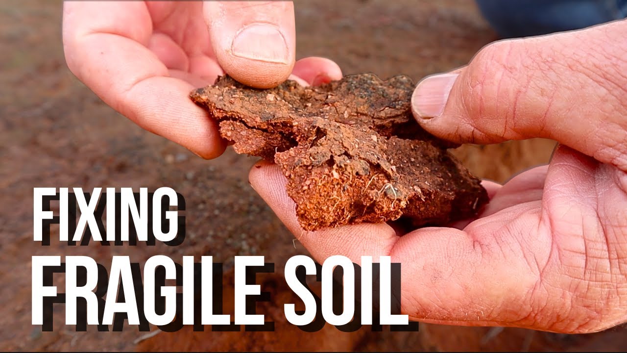 How We Stopped Erosion in Western Australia!
