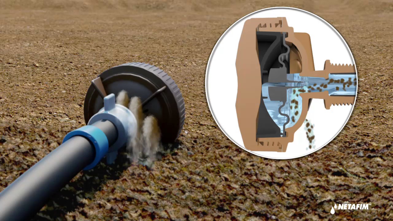 Automatic Flush Valve
