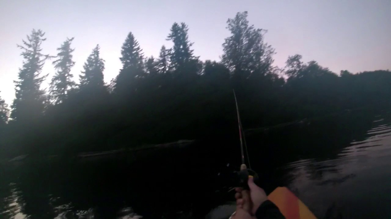 PNW Bass Fishing / Rapala Lure