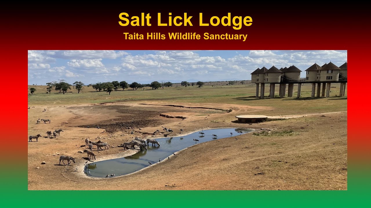 Kenia Info: Salt Lick Lodge (Taita Hills Wildlife Sanctuary)