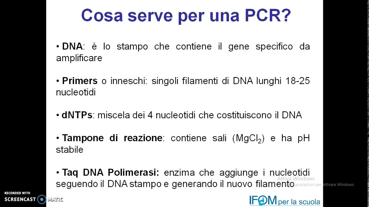 PCR - 1 (Polymerase chain reaction) - Prima parte