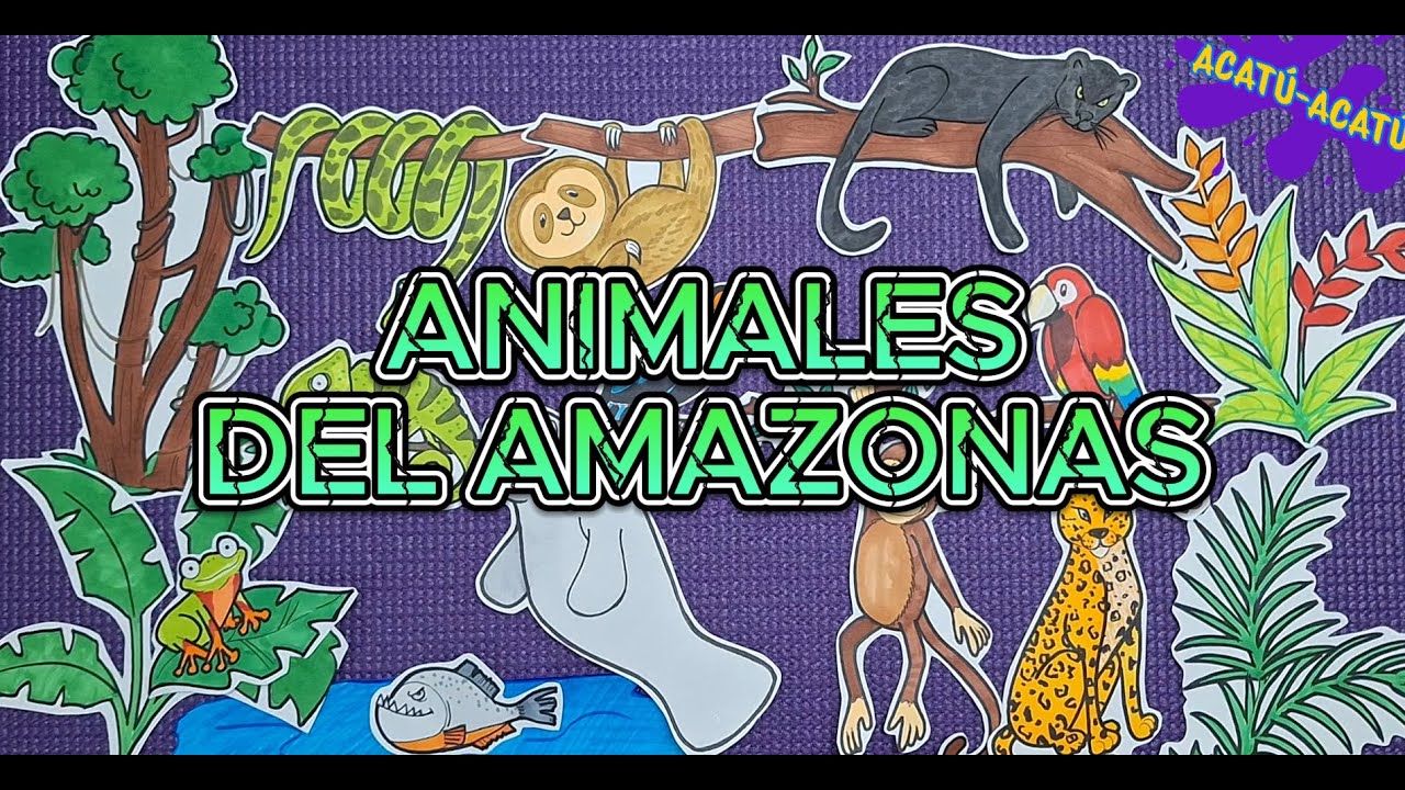Animales de la Selva Amazónica - Para niños