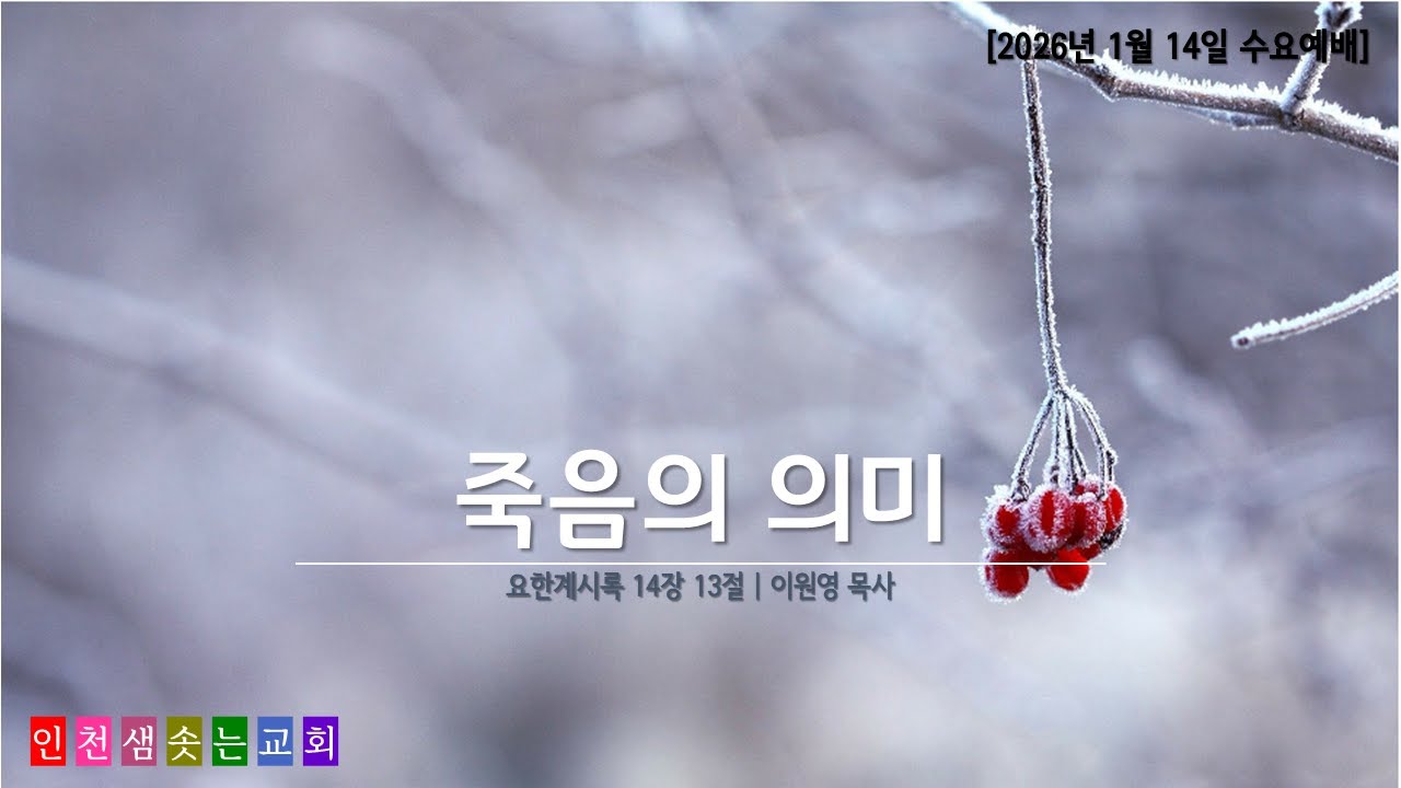 인천 샘솟는교회