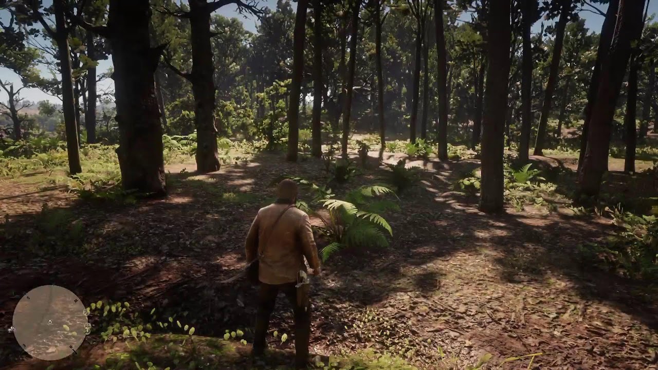 Red dead 2 platinum part 6