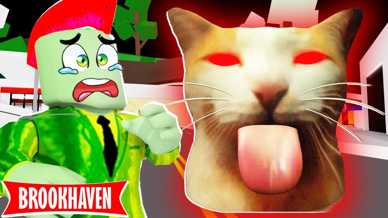 Ik Wilde Wandelen, Maar Kwam Dit Tegen In Brookhaven RP!🏡